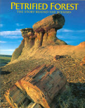 PETRIFIED FOREST: the story behind the scenery (AZ).